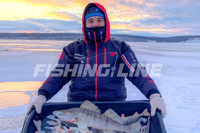 ловля окуня зимой