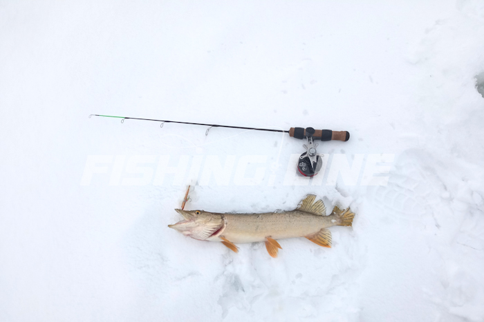 оснастка зимней удочки на щуку