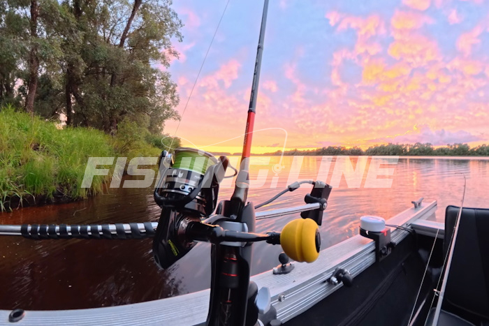 lowrance active target