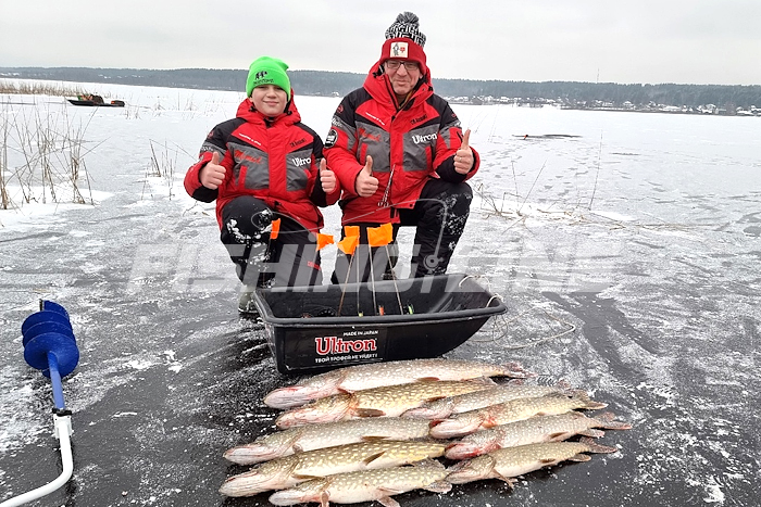 какую леску ставить на жерлицы