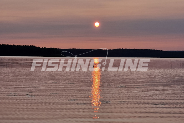 когда начинается весенняя рыбалка