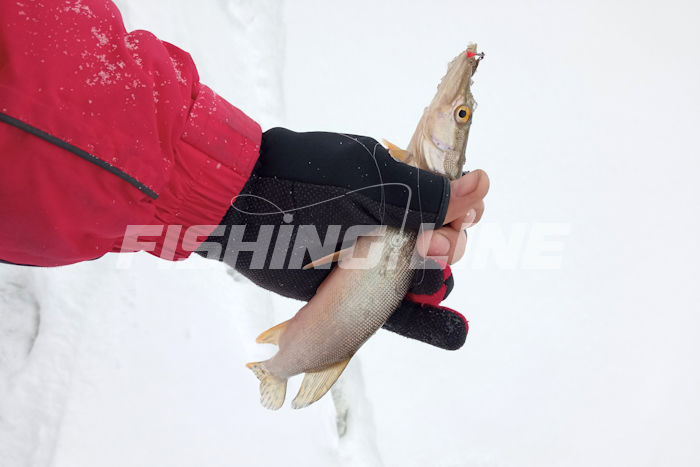 зимняя рыбалка на щуку на блесну