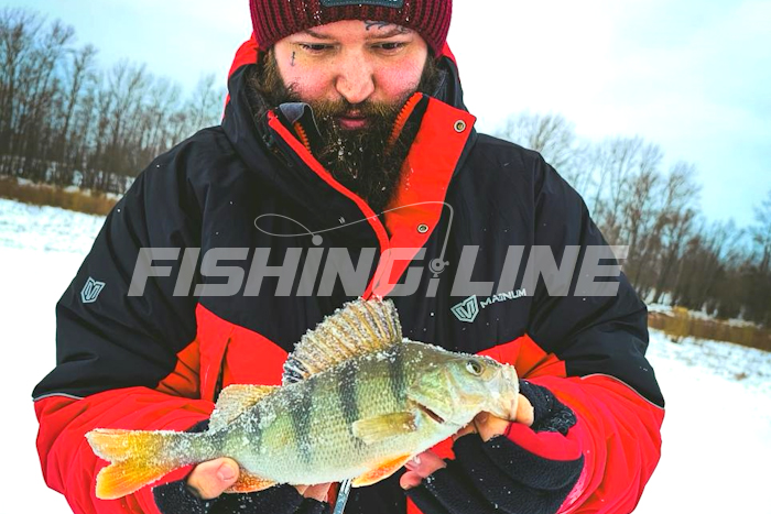 какую леску выбрать для зимней рыбалки