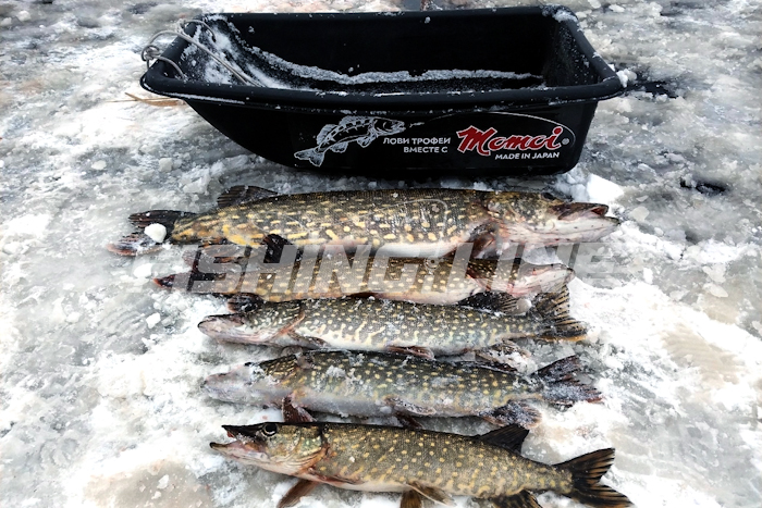 лучшая леска для зимних жерлиц