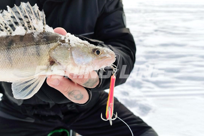 лучшая зимняя леска