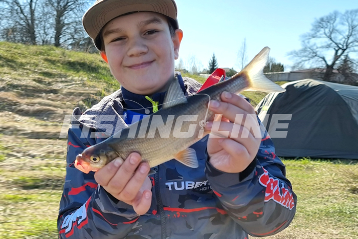 рыба вимба по русски