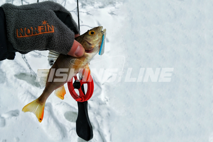 флюорокарбон купить