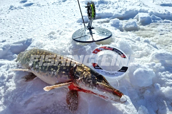 какие поводки лучше для жерлиц