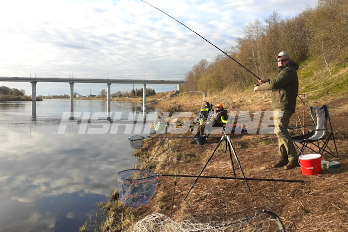 сырть в ленинградской области