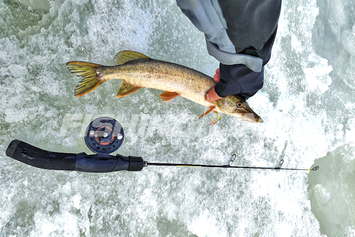 флюрокарбон купить