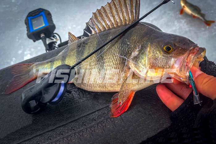 ошибки рыбаков